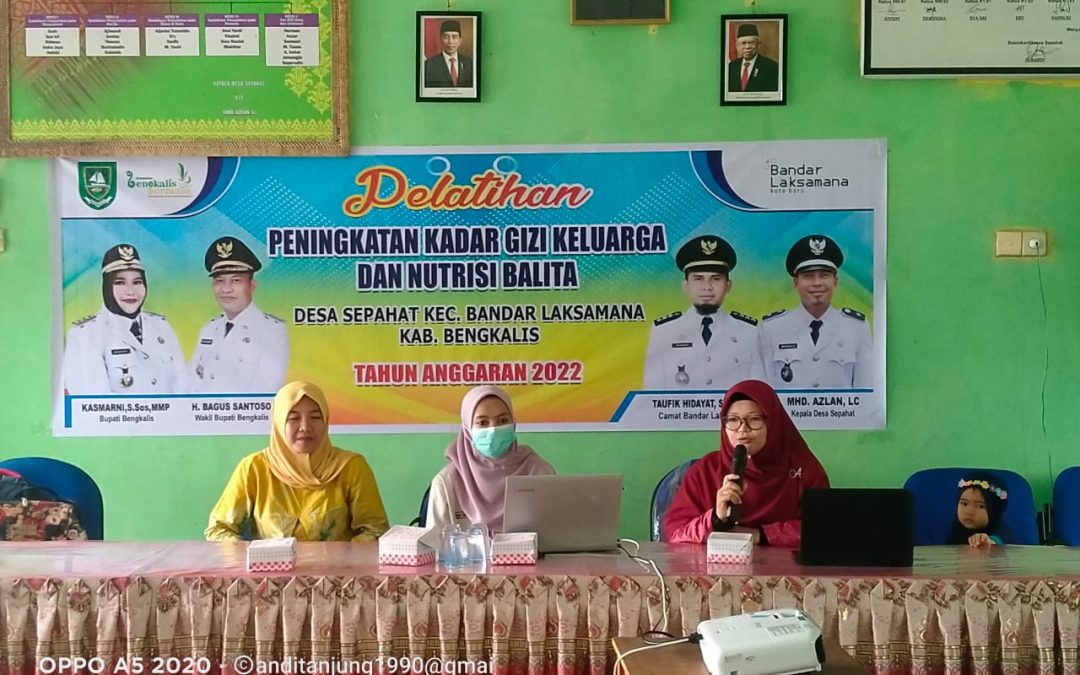 PKK Desa Sepahat Melaksanakan Pelatihan Peningkatan Kadar Gizi Keluarga dan Nutrisi Balita