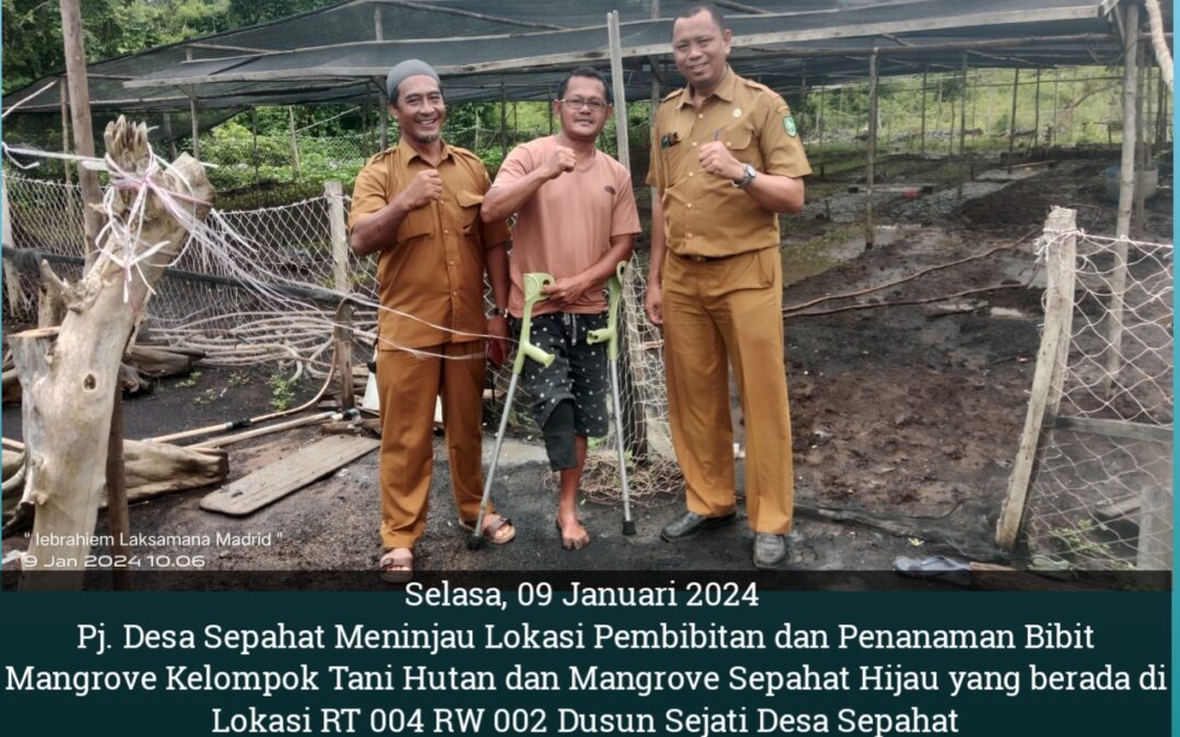 Pj. Kepala Desa Sepahat Meninjau Lokasi Pembibitan dan Penanaman Hutan Magrove,  Dedi Syafrizal : Mangrove Merupakan Aset yg Harus di Jaga dan di Lestarikan