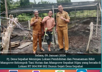 Pj. Kepala Desa Sepahat Meninjau Lokasi Pembibitan dan Penanaman Hutan Magrove,  Dedi Syafrizal : Mangrove Merupakan Aset yg Harus di Jaga dan di Lestarikan